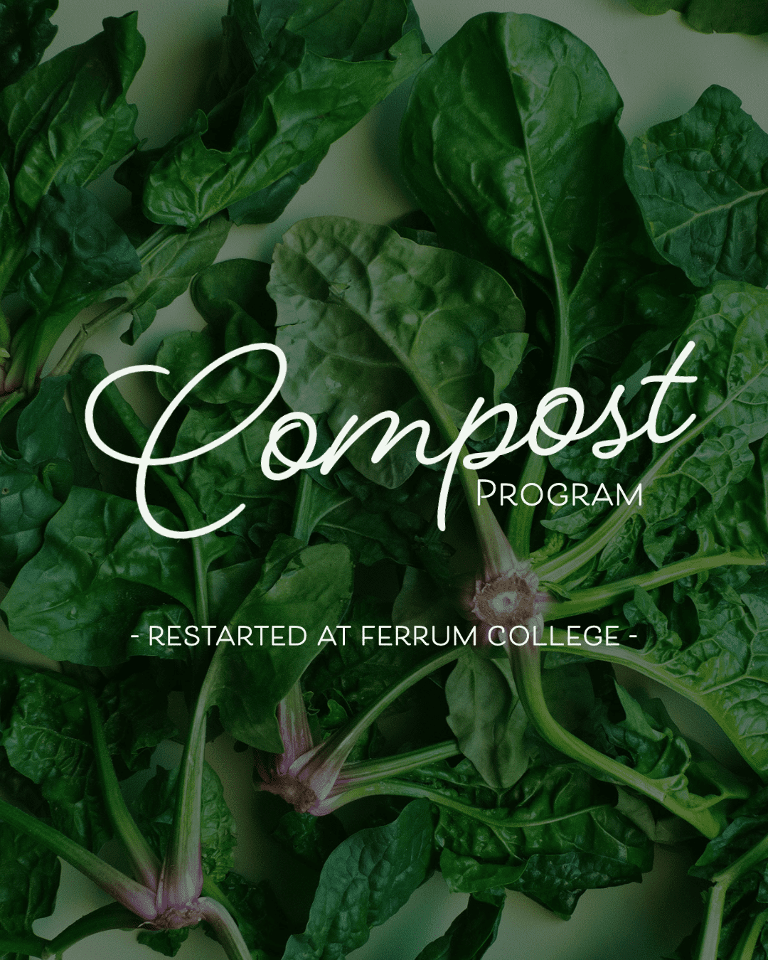 Compost program restarted at Ferrum College